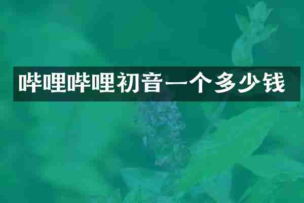 哔哩哔哩初音一个多少钱