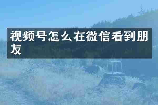 视频号怎么在微信看到朋友