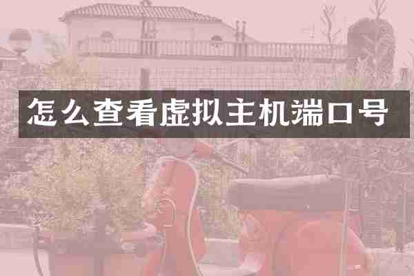 怎么查看虚拟主机端口号