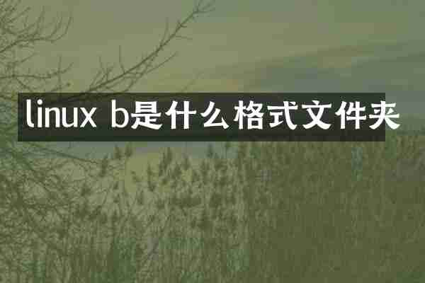 linux b是什么格式文件夹