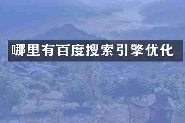 哪里有百度搜索引擎优化