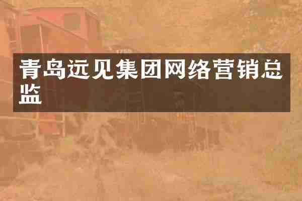 青岛远见集团网络营销总监
