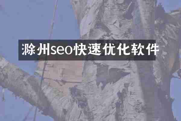 滁州seo快速优化软件