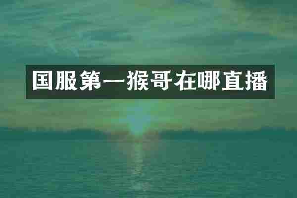 国服第一猴哥在哪直播