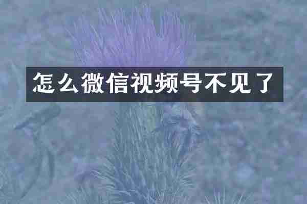 怎么微信视频号不见了