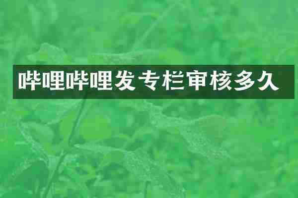 哔哩哔哩发专栏审核多久