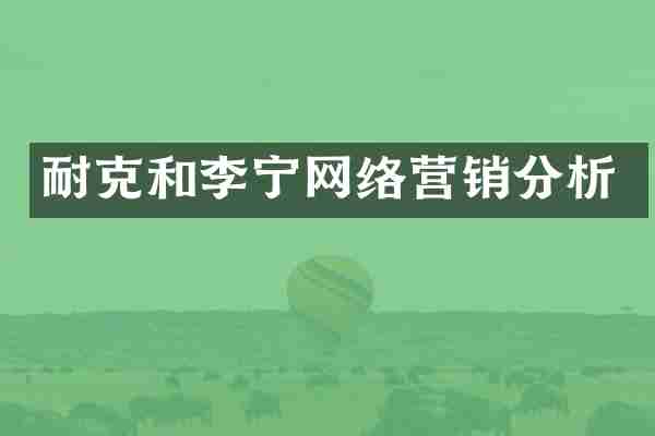 耐克和李宁网络营销分析