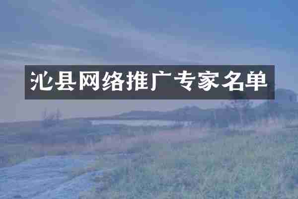 沁县网络推广专家名单