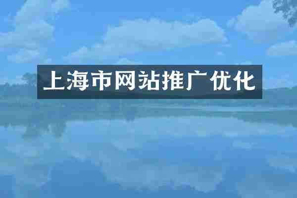 上海市网站推广优化
