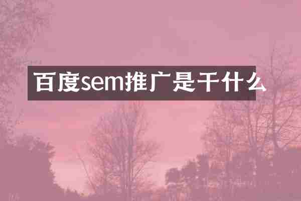 百度sem推广是干什么