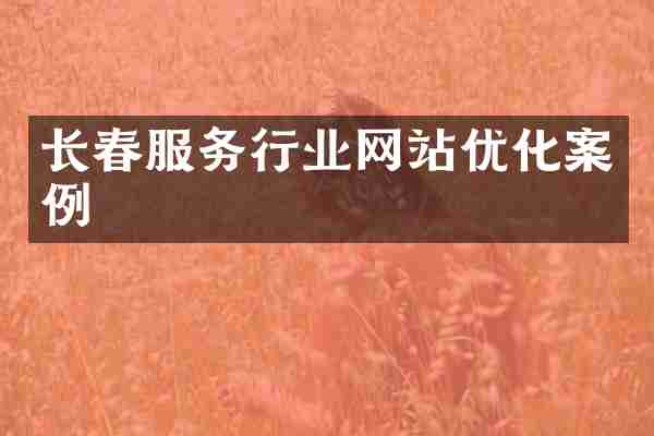 长春服务行业网站优化案例