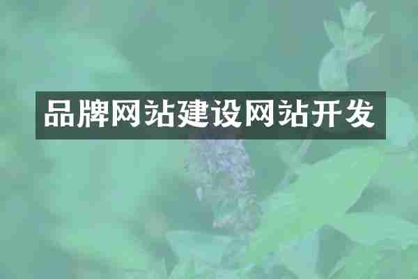 品牌网站建设网站开发