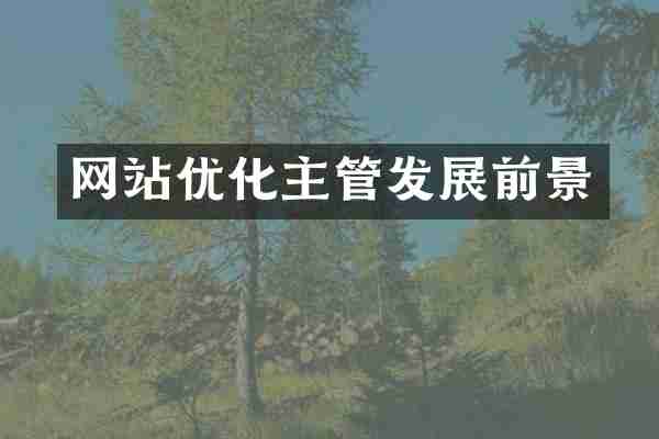 网站优化主管发展前景