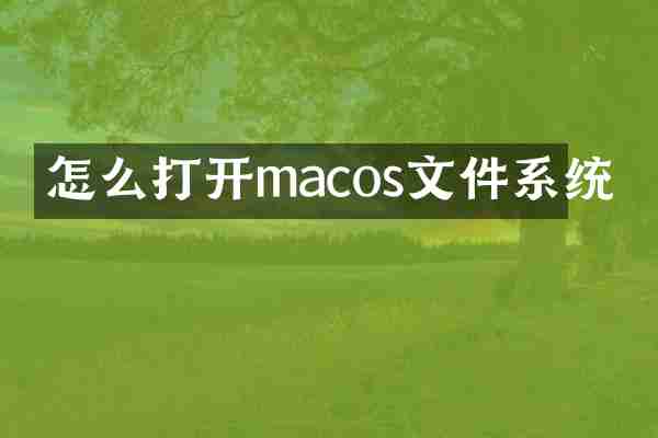怎么打开macos文件系统