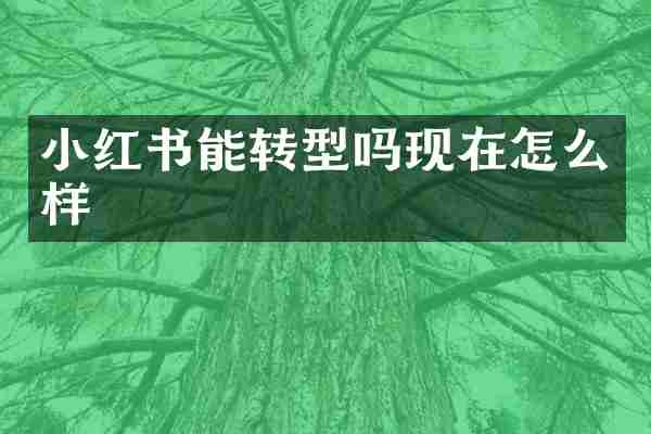 小红书能转型吗现在怎么样
