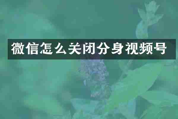 微信怎么关闭分身视频号