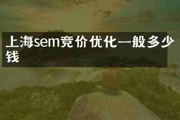 上海sem竞价优化一般多少钱