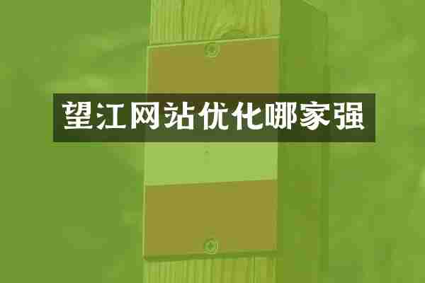 望江网站优化哪家强