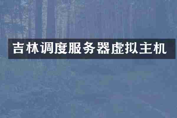 吉林调度服务器虚拟主机