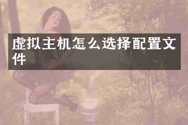 虚拟主机怎么选择配置文件