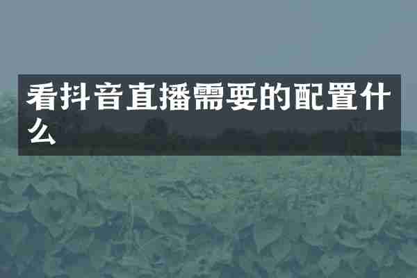 看抖音直播需要的配置什么