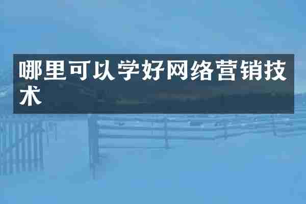 哪里可以学好网络营销技术
