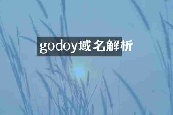 godoy域名解析