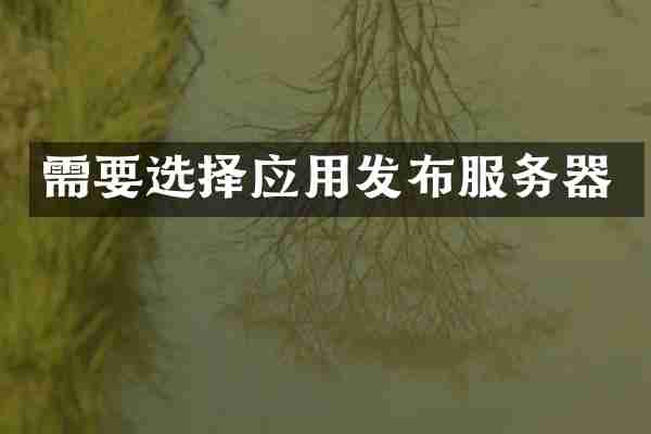 需要选择应用发布服务器