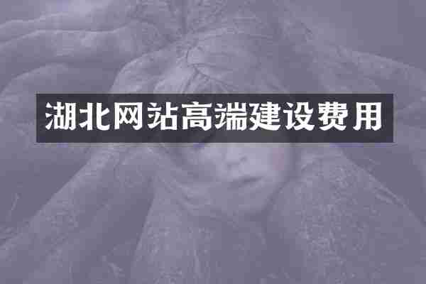 湖北网站高端建设费用