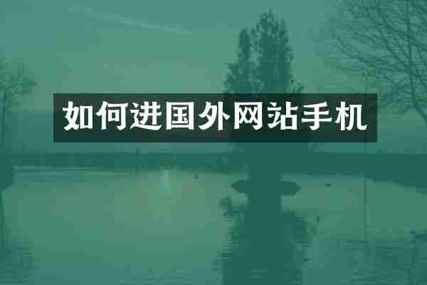 如何进国外网站手机