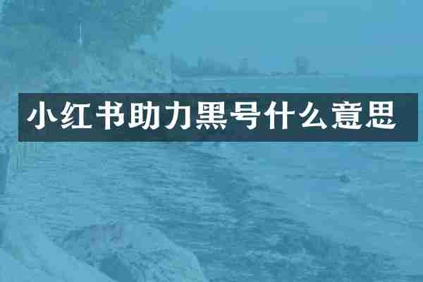 小红书助力黑号什么意思