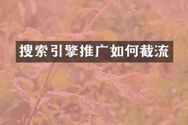 搜索引擎推广如何截流
