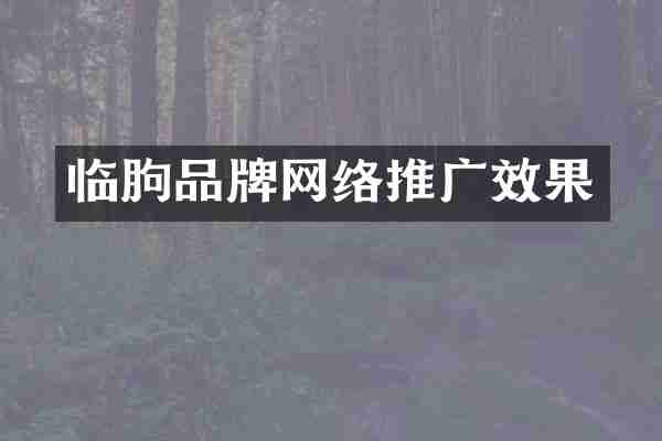 临朐品牌网络推广效果