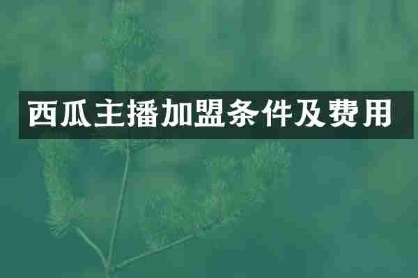 西瓜主播加盟条件及费用