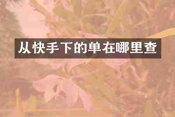 从快手下的单在哪里查