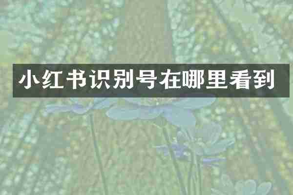 小红书识别号在哪里看到