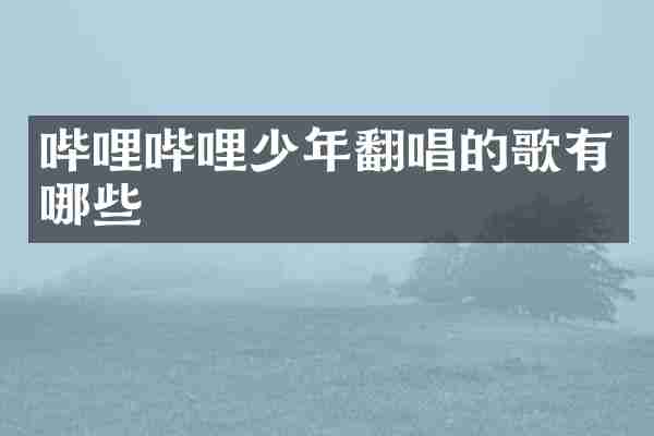 哔哩哔哩少年翻唱的歌有哪些