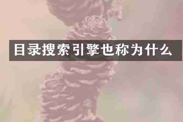 目录搜索引擎也称为什么