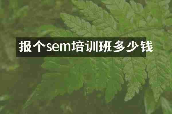 报个sem培训班多少钱