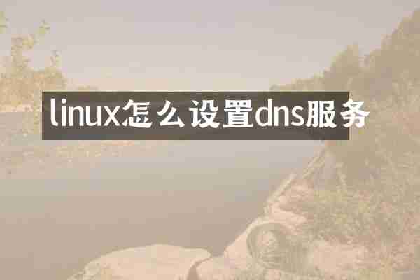 linux怎么设置dns服务