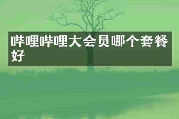 哔哩哔哩大会员哪个套餐好