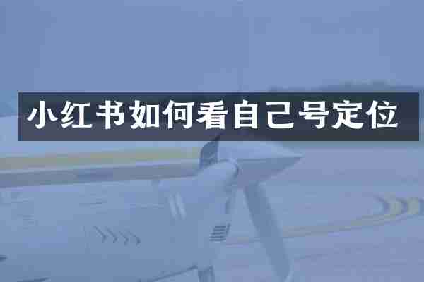 小红书如何看自己号定位