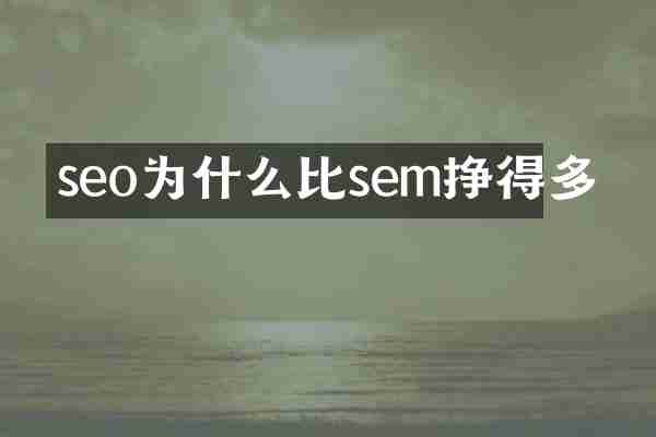 seo为什么比sem挣得多