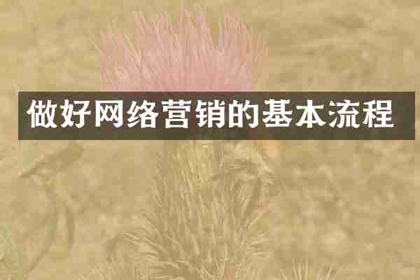 做好网络营销的基本流程
