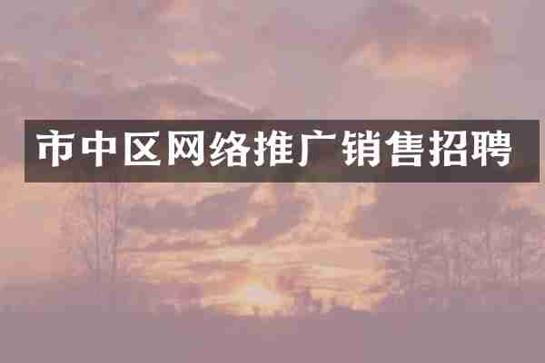 市中区网络推广销售招聘