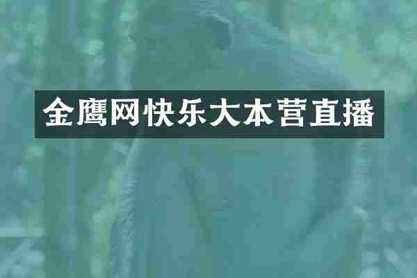 金鹰网快乐大本营直播