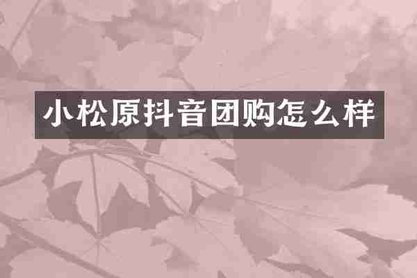 小松原抖音团购怎么样