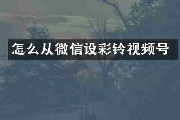 怎么从微信设彩铃视频号