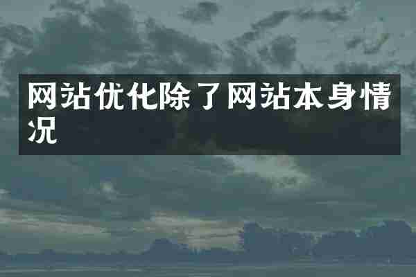 网站优化除了网站本身情况