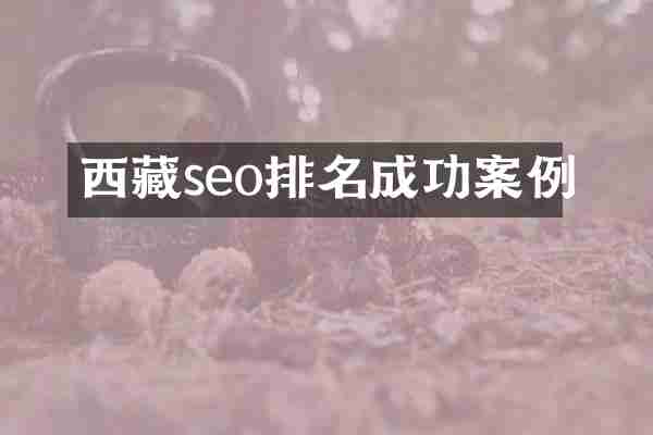 西藏seo排名成功案例
